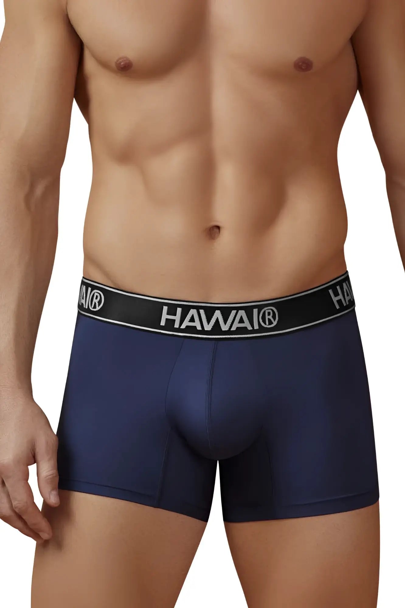 Navy blue hawaii brand microfiber briefs with a black elastic waistband and white lettering HAWAIR 41977 model