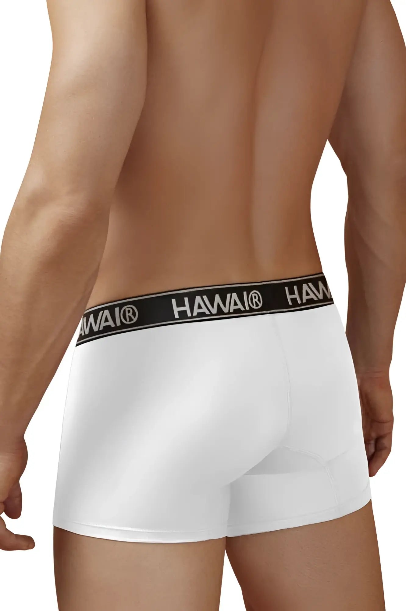 White havai microfiber briefs with black elastic waistband featuring brand name in white lettering model hawair 41977