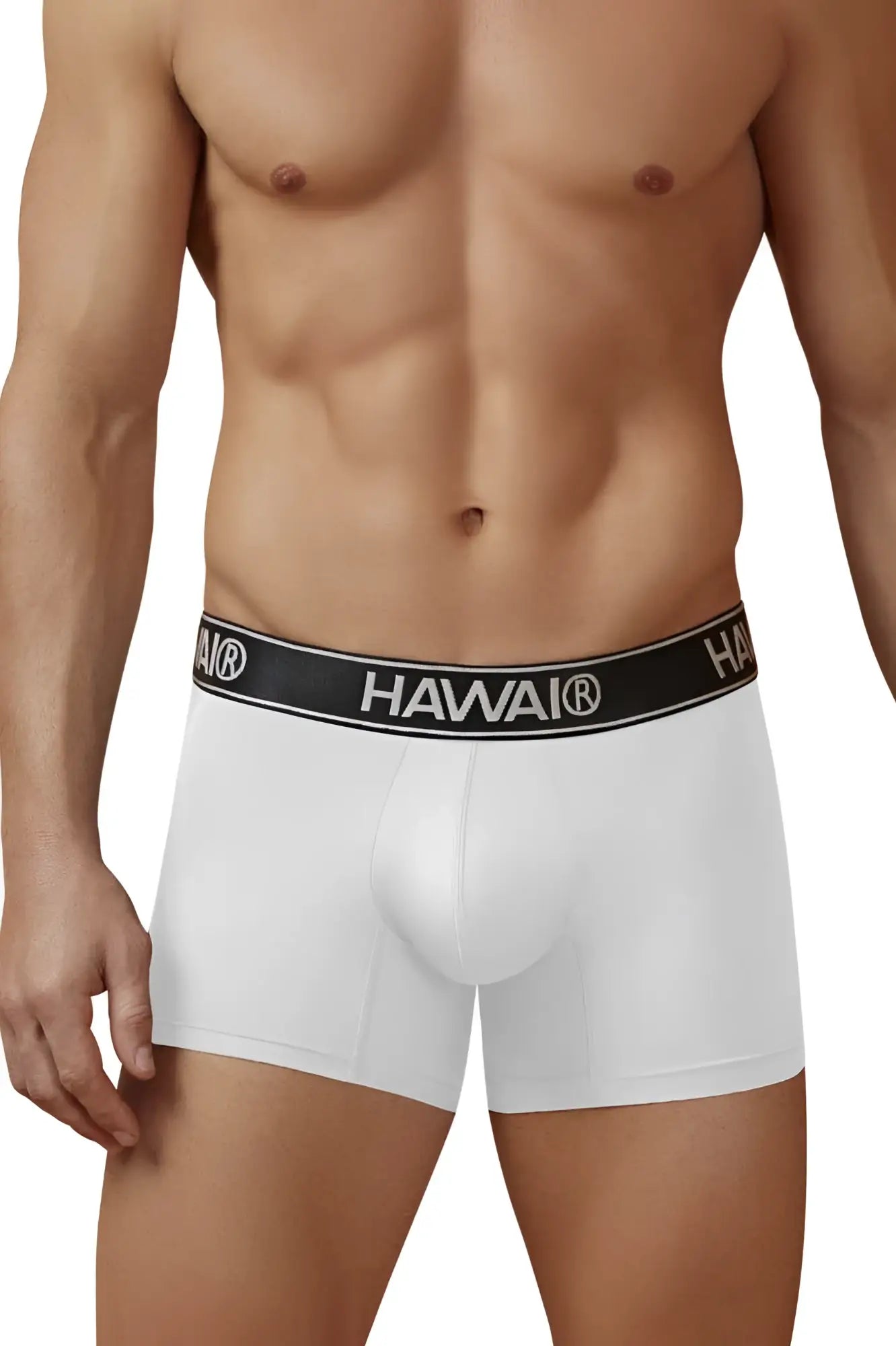 White hawai boxer briefs microfiber trunks in white with black waistband featuring white brand name lettering