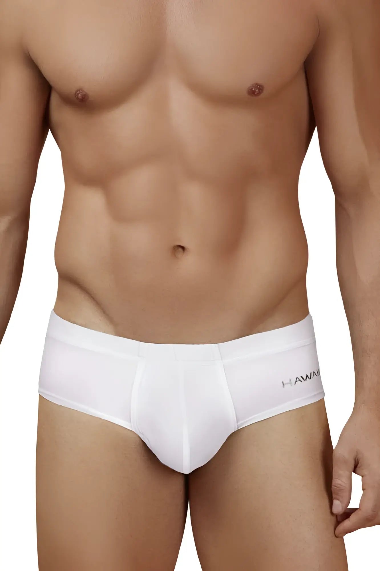 White hawaii microfiber briefs with subtle logo on waistband in color white for comfortable daily wear