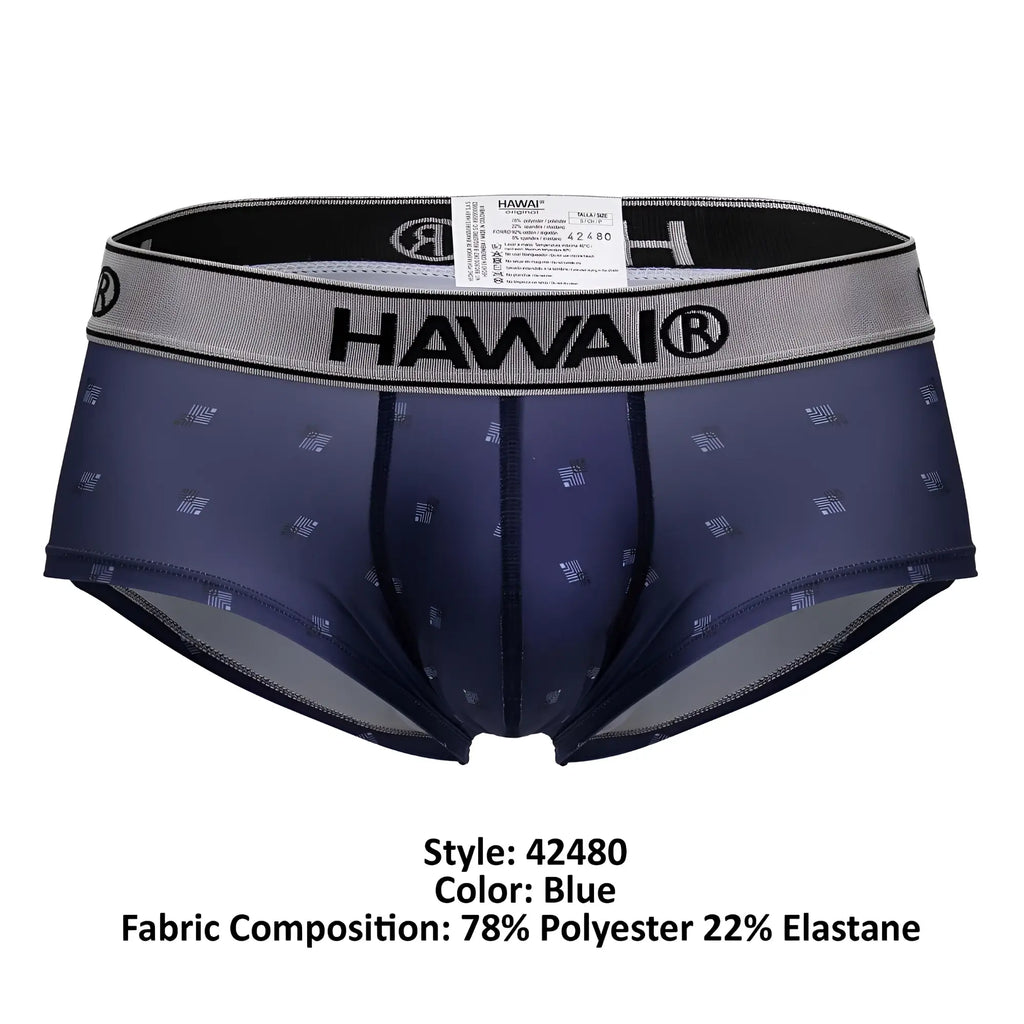 Blue hawai men’s microfiber briefs in blue with a subtle geometric pattern and gray elastic waistband