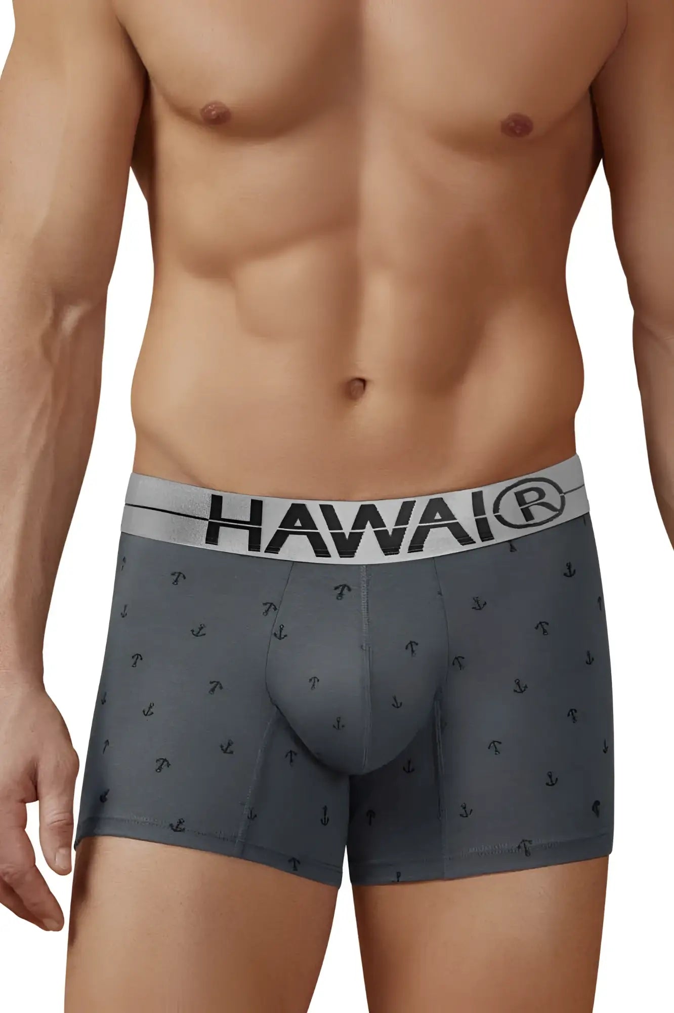 Gray cotton blend boxer briefs with black anchor pattern and white hawaii logo waistband hawair 42521 trunks