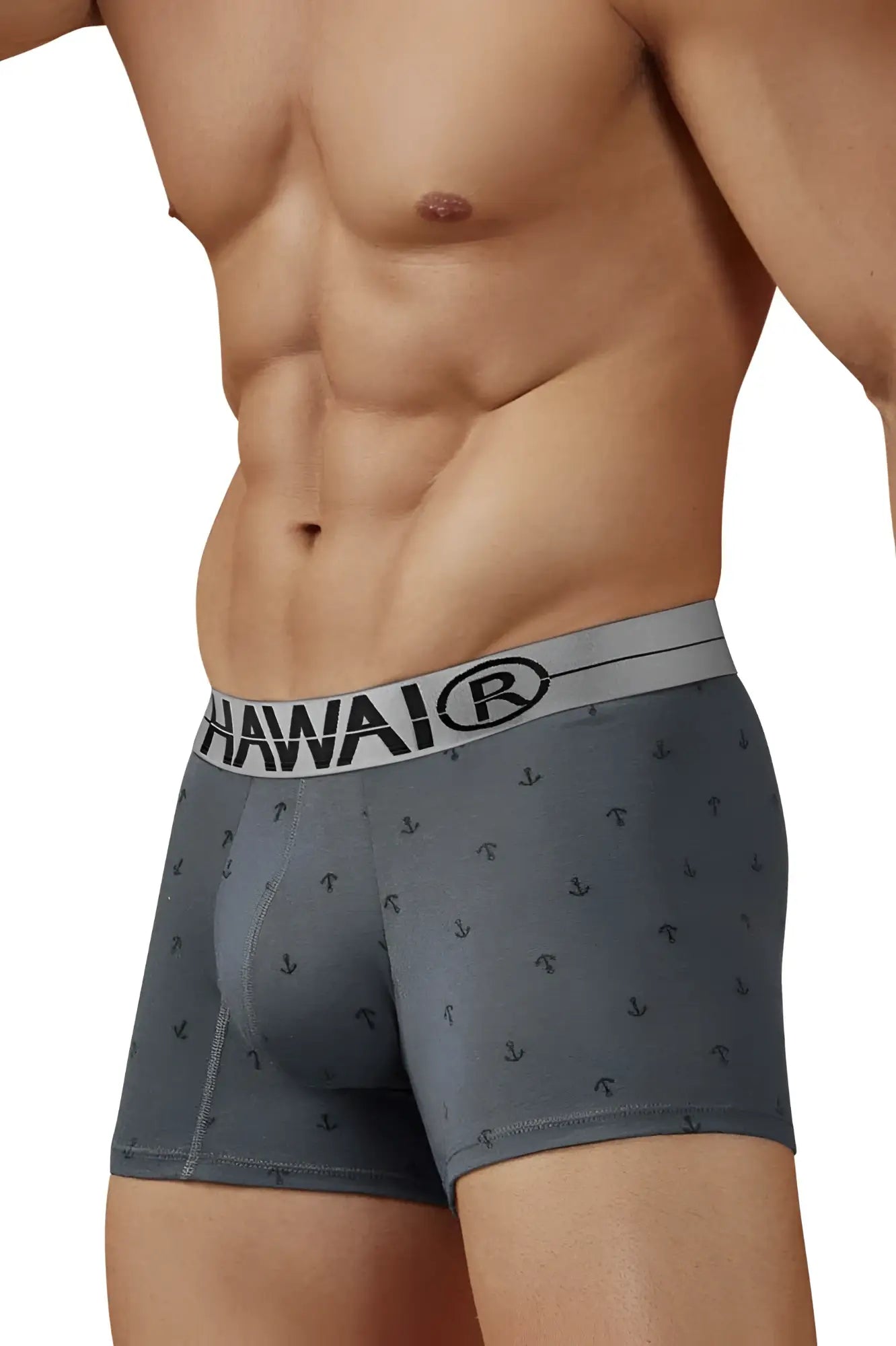 Gray hawaiian boxer briefs with subtle anchor pattern and white waistband featuring HAWAIR logo cotton blend trunks