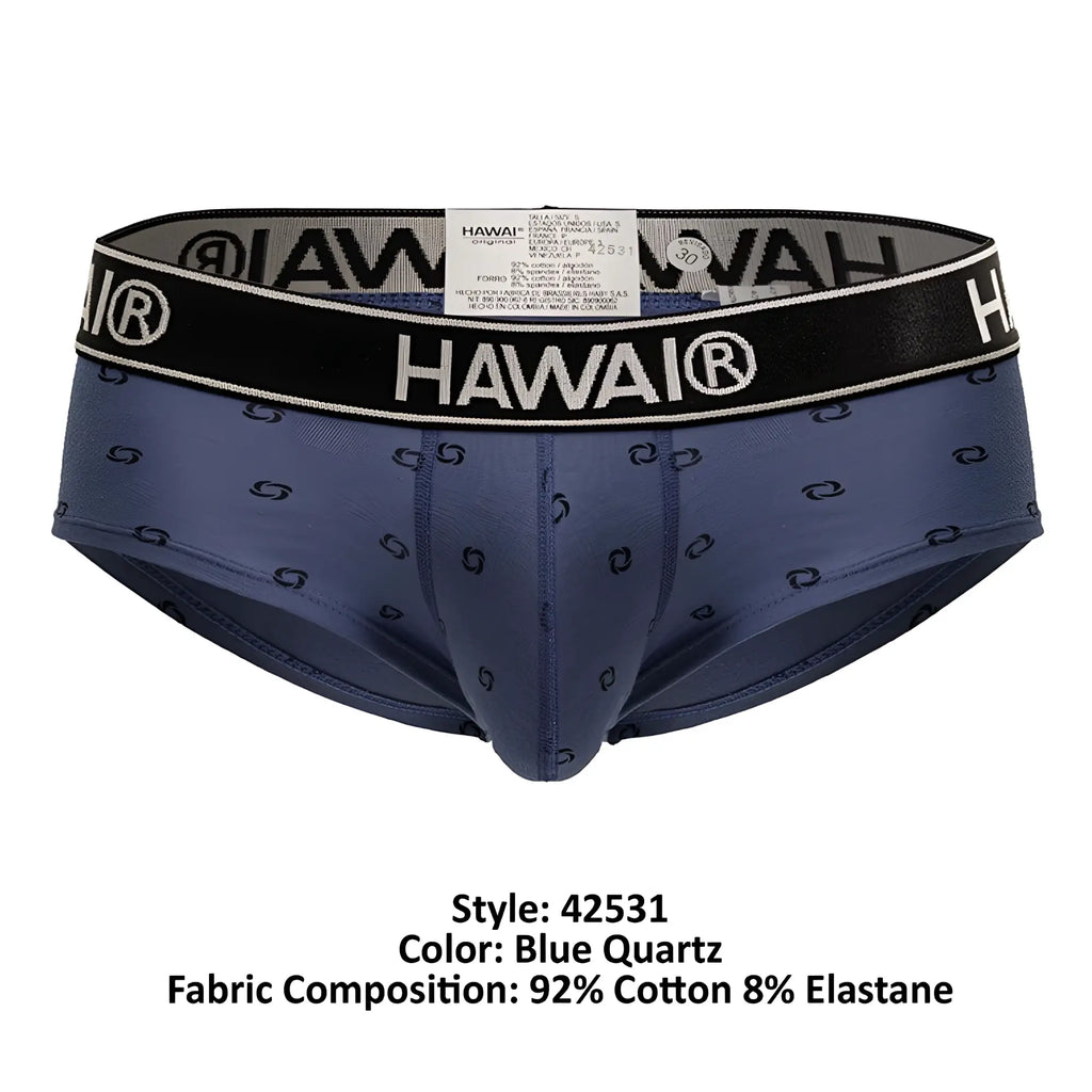 Hawai men’s briefs in blue quartz cotton blend with black s-shaped pattern and black waistband with white logo