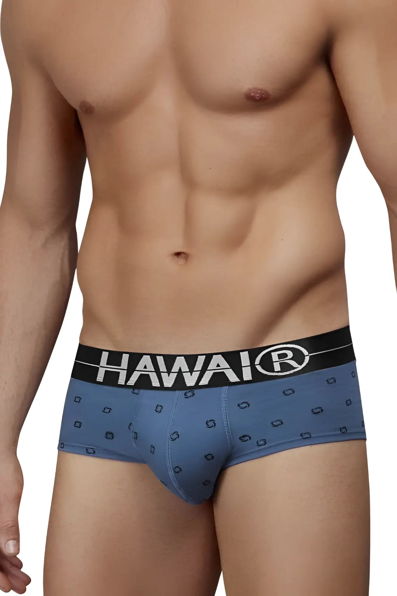 Blue hawaiian men’s briefs in cotton blend with black waistband featuring hawair brand name and geometric patterns
