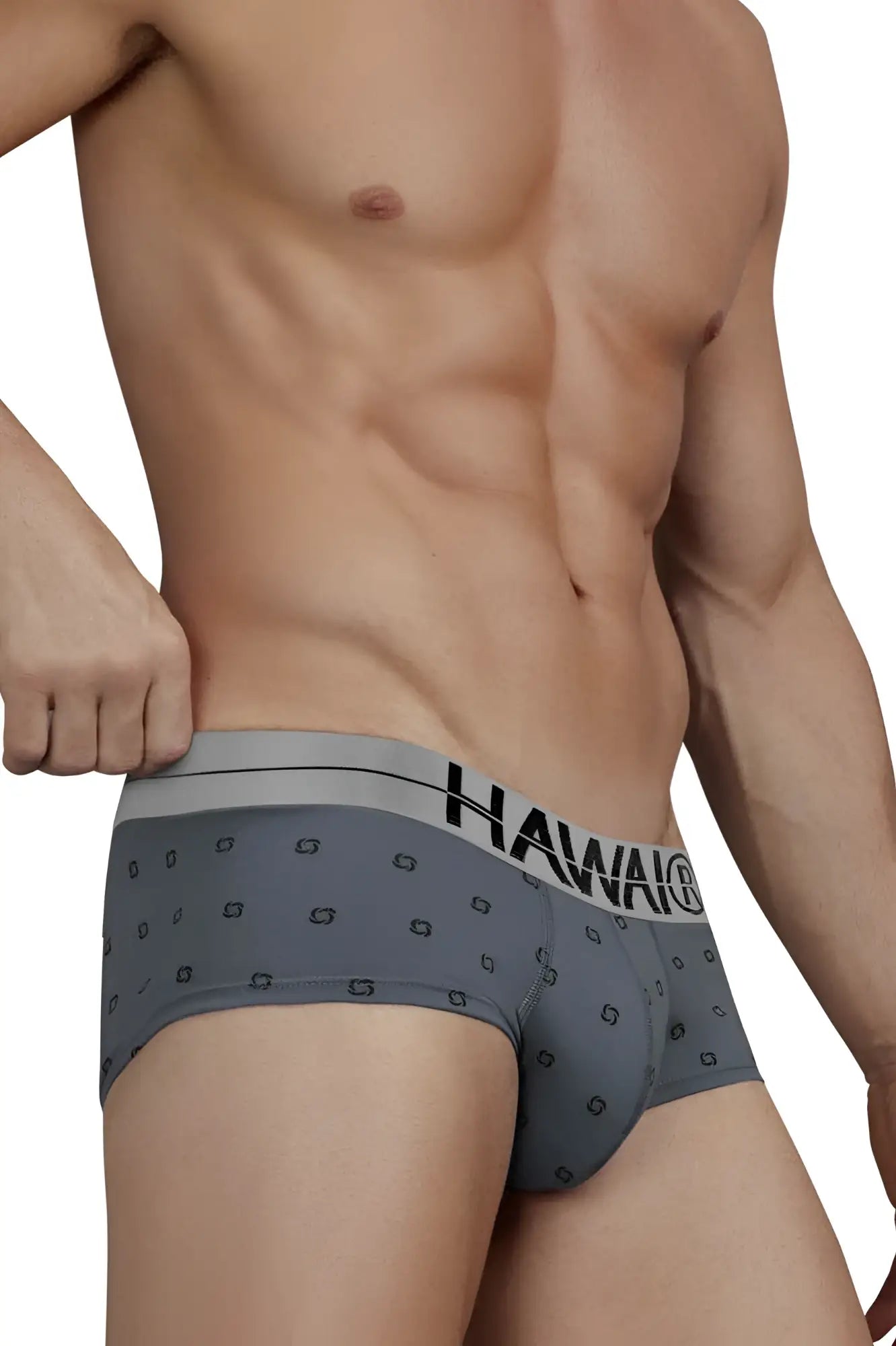 Gray hawaiian mens briefs with subtle geometric pattern and black hawaiian branding on waistband cotton blend material