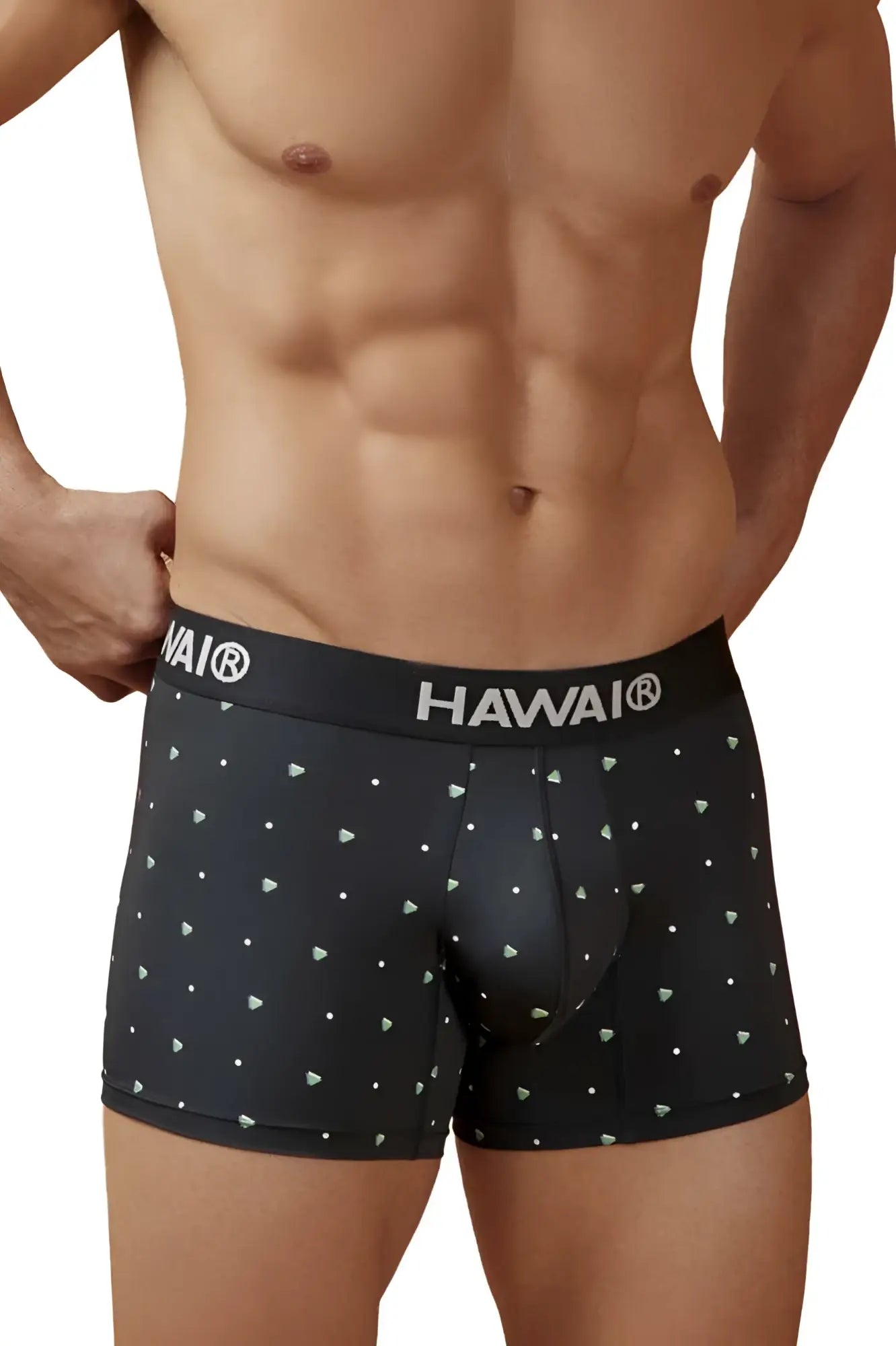 Black hawai boxer briefs black microfiber trunks with subtle white triangle and dot pattern model hawair 42570