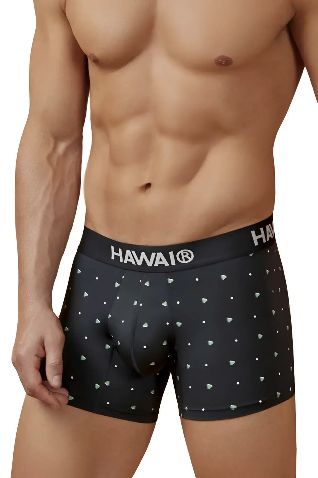 Black hawaiian men’s microfiber boxer briefs with white triangle pattern and hawai brand on the waistband