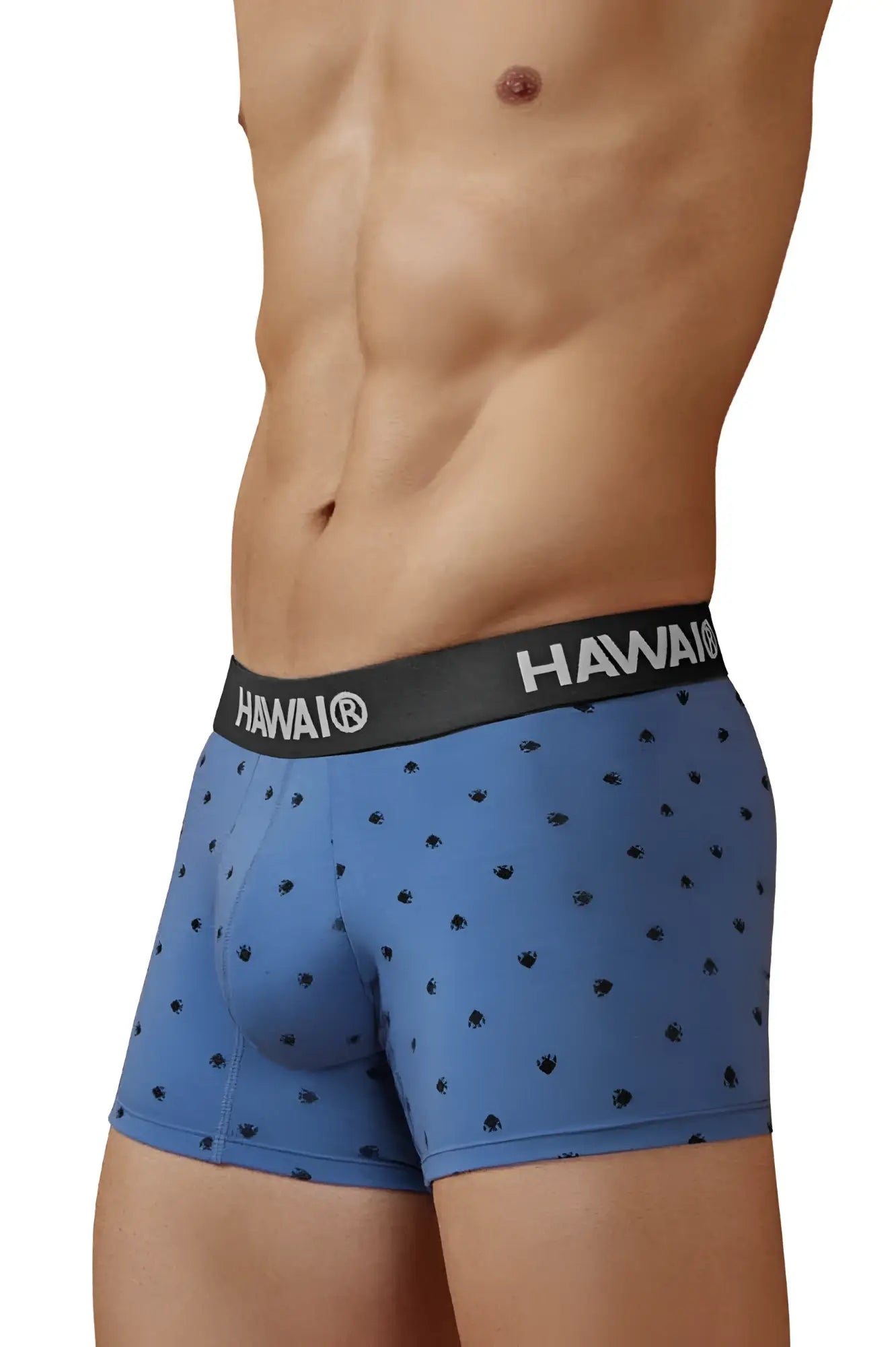 Blue hawaiian boxer briefs with black palm tree prints and cotton blend fabric with black hawair logo waistband