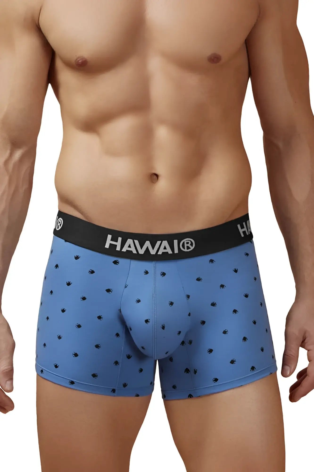 Blue hawaiian men’s cotton blend boxer briefs with black palm tree prints and hawaii logo waistband in blue quartz