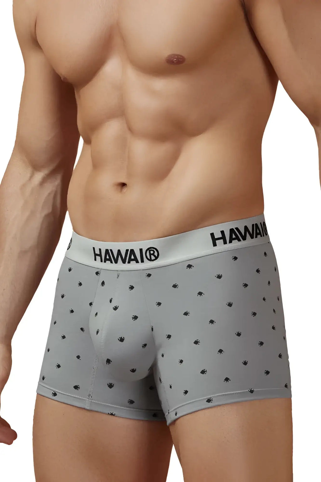 Gray hawai boxer briefs with black palm tree pattern and branded waistband made of cotton blend trunks