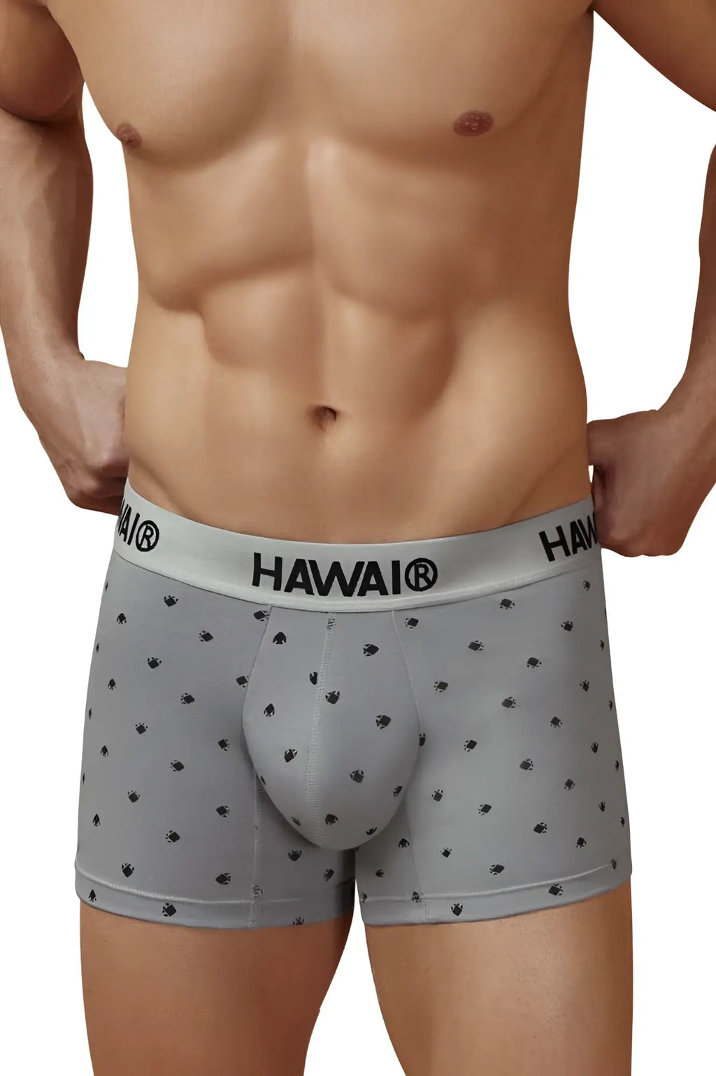 Gray hawaiian men’s cotton blend boxer briefs with black palm tree prints and branded waistband hawair 42571 trunks