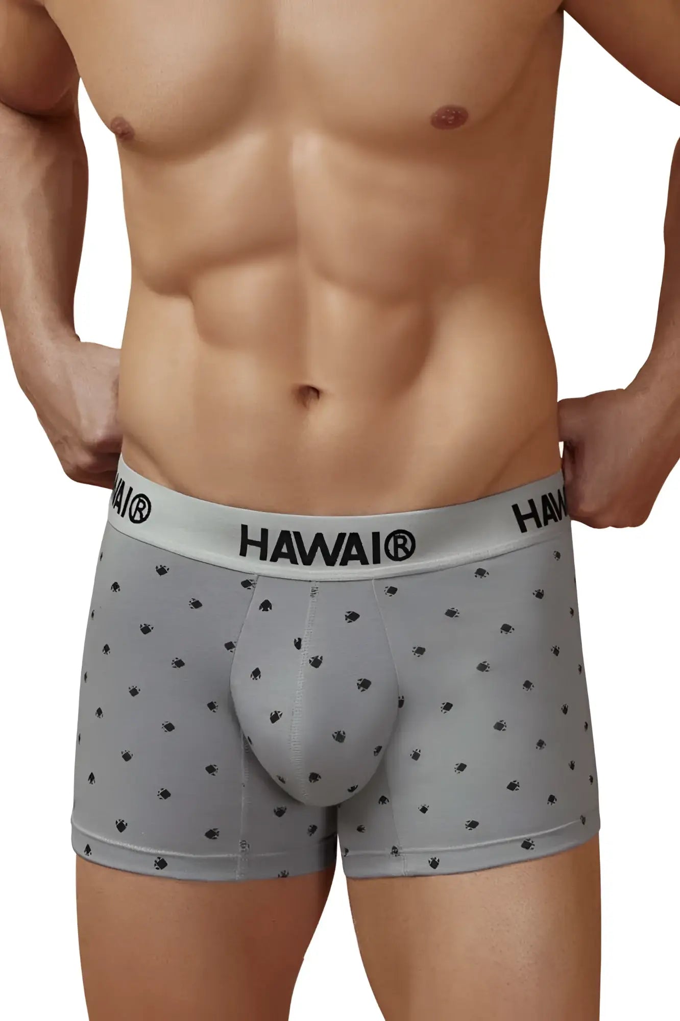 Gray hawaiian men’s cotton blend boxer briefs with black palm tree prints and branded waistband hawair 42571 trunks