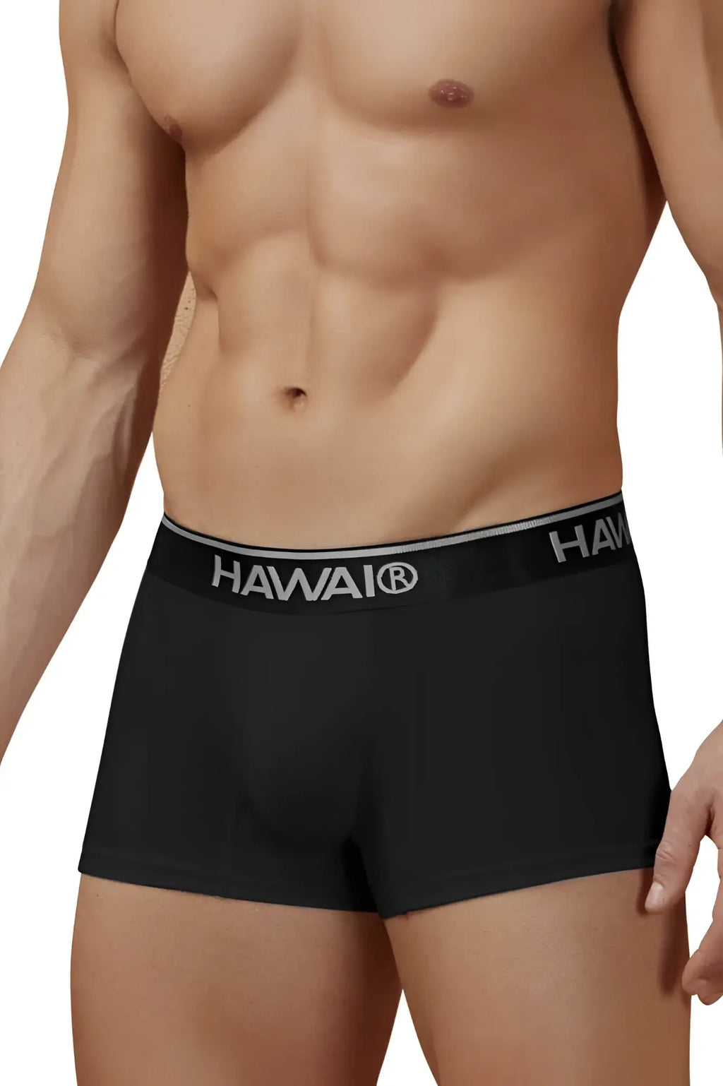 Black hawaiian boxer briefs with gray elastic waistband and white hawaii logo cotton blend trunks color black 01
