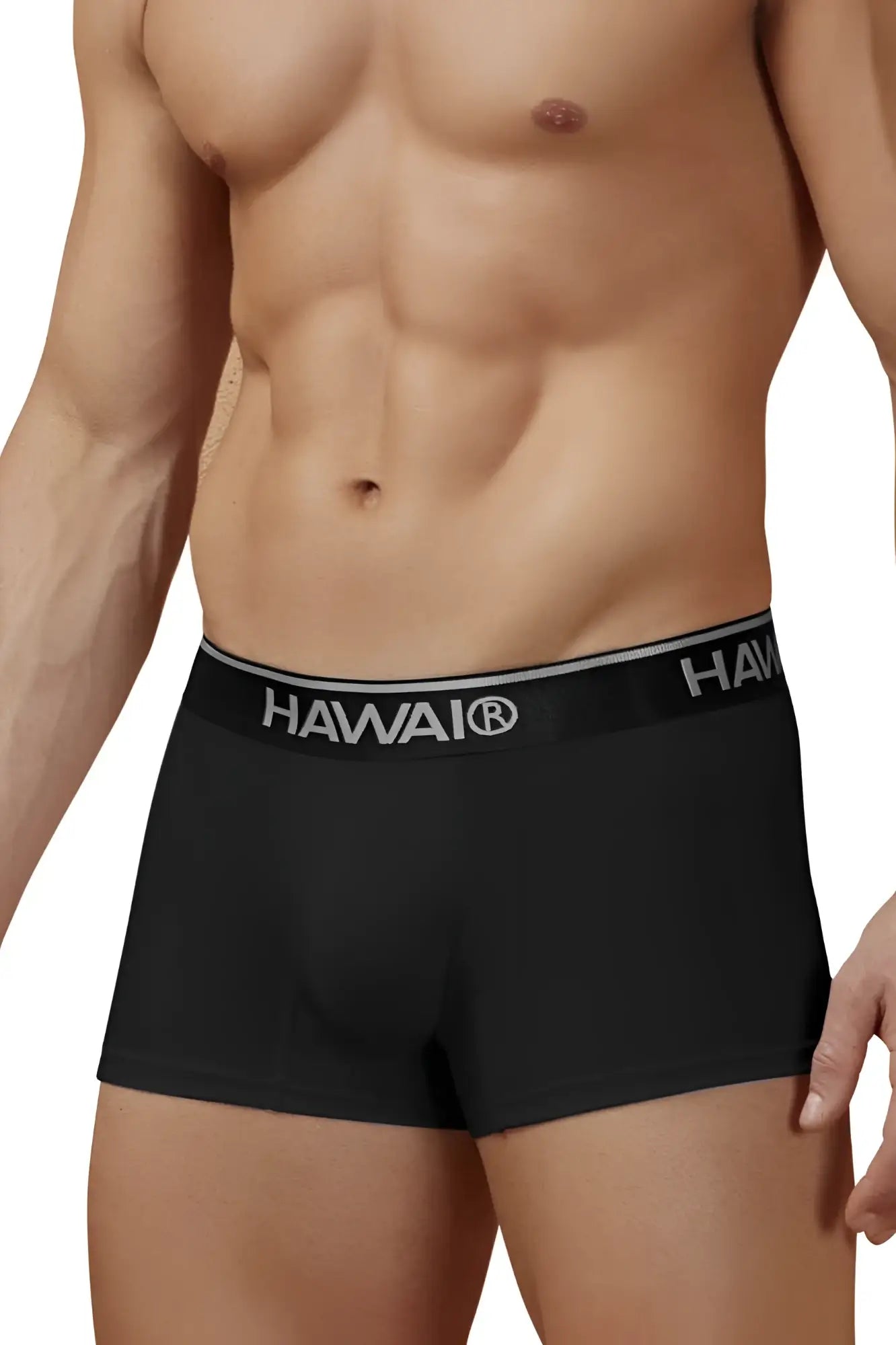 Black hawaiian boxer briefs with gray elastic waistband and white hawaii logo cotton blend trunks color black 01