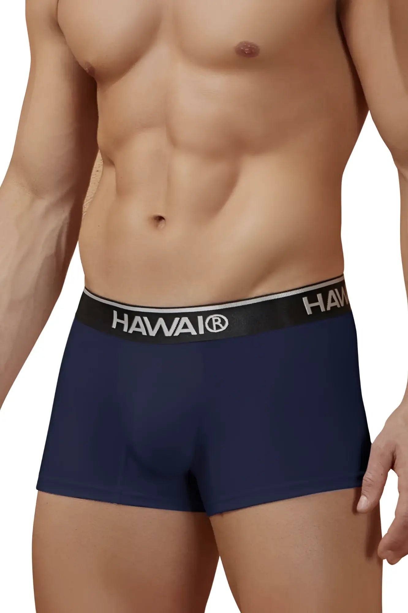 Navy blue hawaii brand cotton blend briefs with black waistband and white lettering from hawair 4986 trunks collection