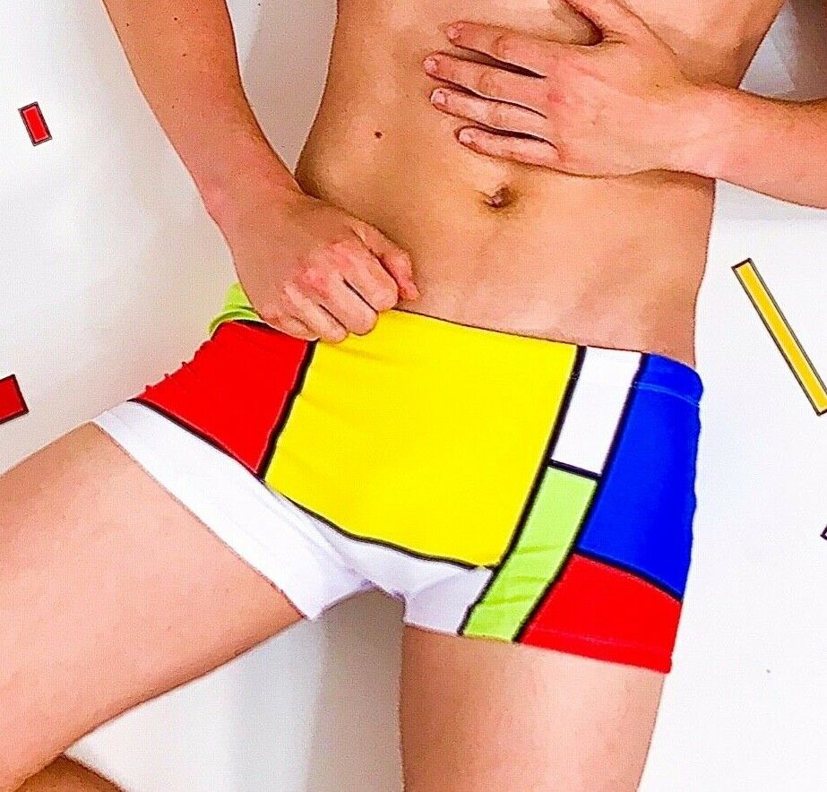Maris Equi Men's ModRian Square Cut Men's Swimsuit