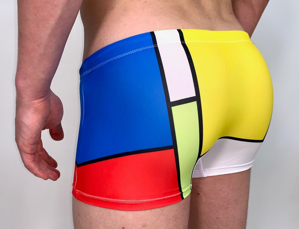 Maris Equi Men's ModRian Square Cut Men's Swimsuit