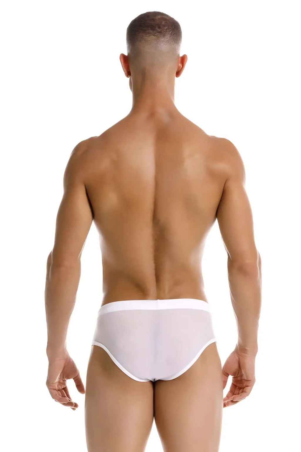 White sheer jor 2193 mystic swim briefs with solid white waistband designed for swimwear use
