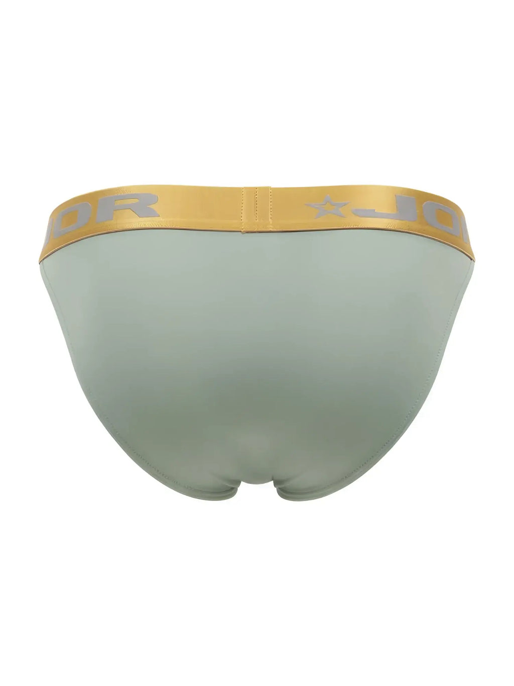 JOR 2328 Soho Bikini in green, back view showing the branded gold waistband.
