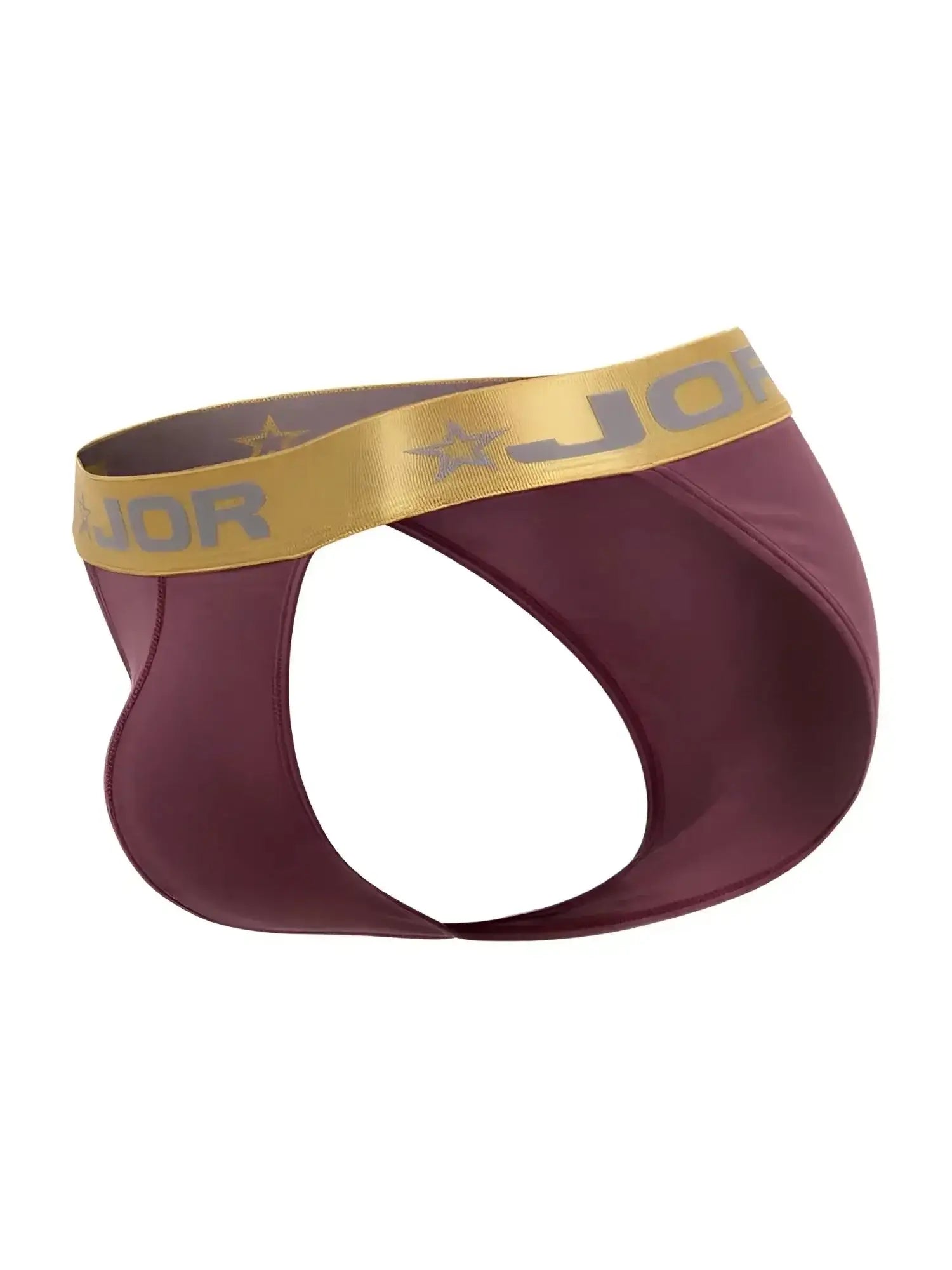 JOR 2328 Soho Bikini in wine, angled product view showing the elastic logo waistband.