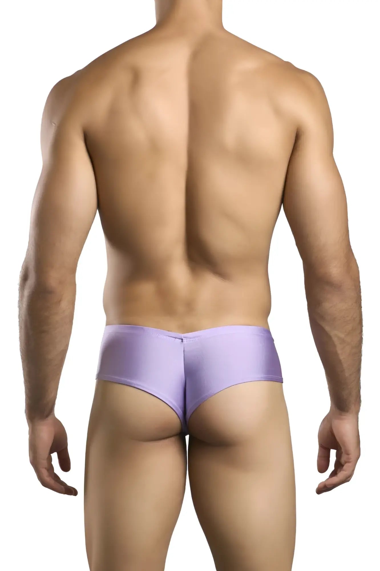 Lavender satin briefs from justin simon xsj22 cheek briefs in lilac featuring smooth satin material and cheeky cut