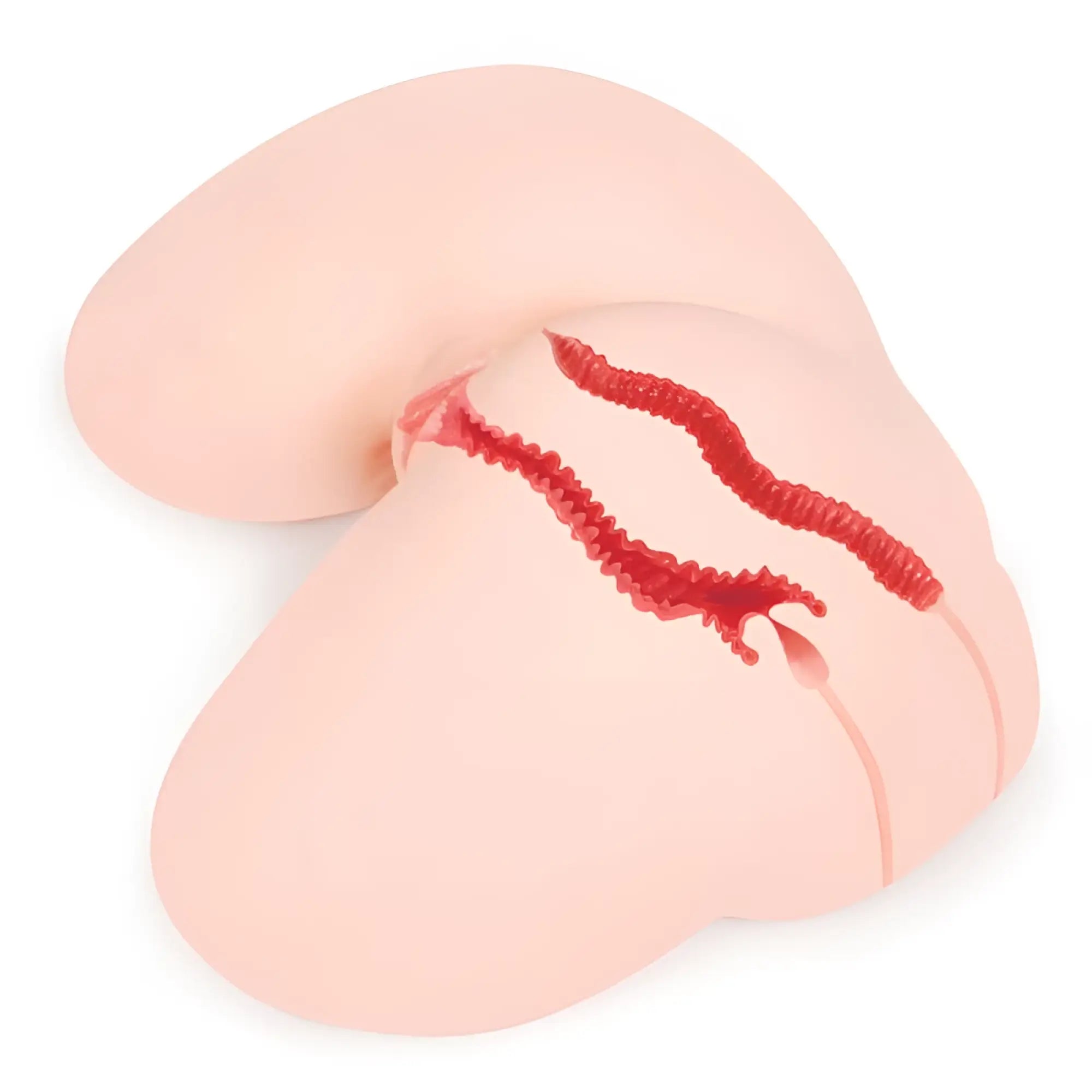 Pink silicone anatomical model of female reproductive system with red highlighted structures in kokos hanna onahole 2 butt vaginal anal torso