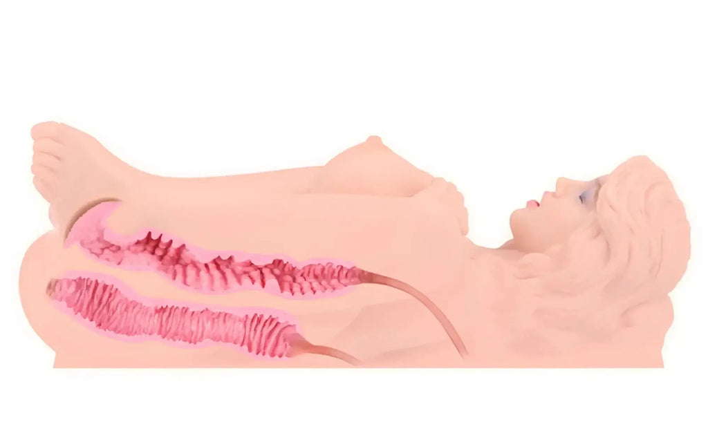 A pink anatomical model of a female torso with visible internal reproductive organs from kokos love doll real victoria
