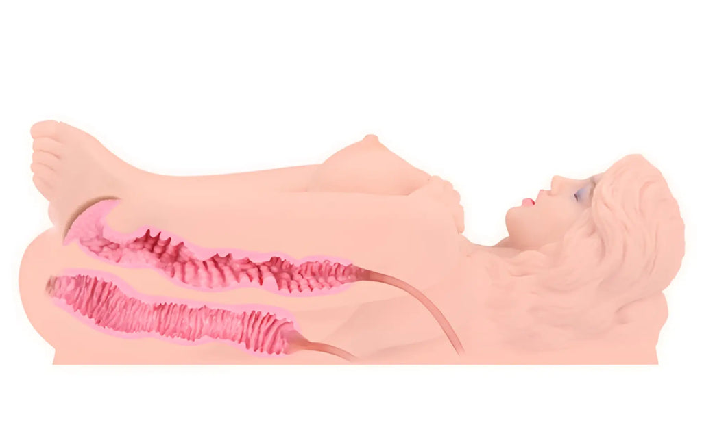 A pink anatomical model of a female torso with visible internal reproductive organs from kokos love doll real victoria