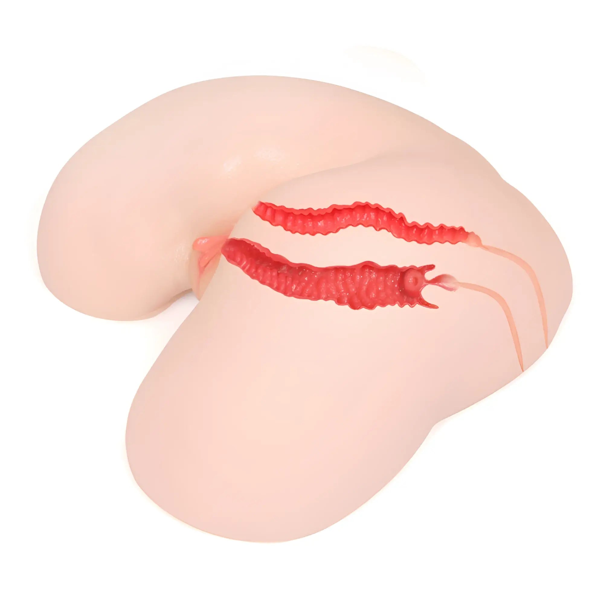 Pink silicone anatomical model of human reproductive system with red highlights in kokos maria onahole 3 butt 1 1 vaginal anal torso
