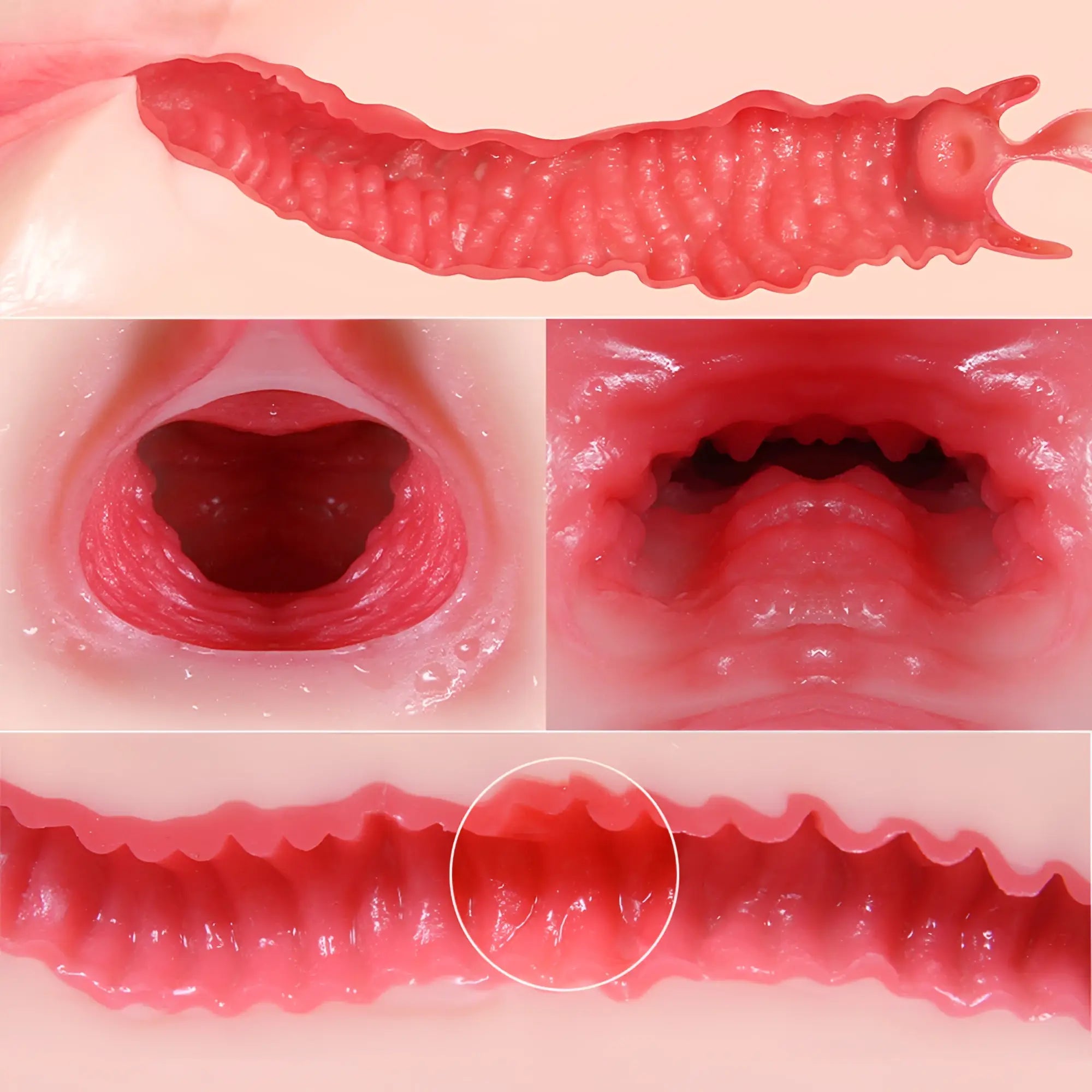 Pink silicone anal plug with textured ridged surface and realistic internal detailing from kokos maria onahole 3 butt torso