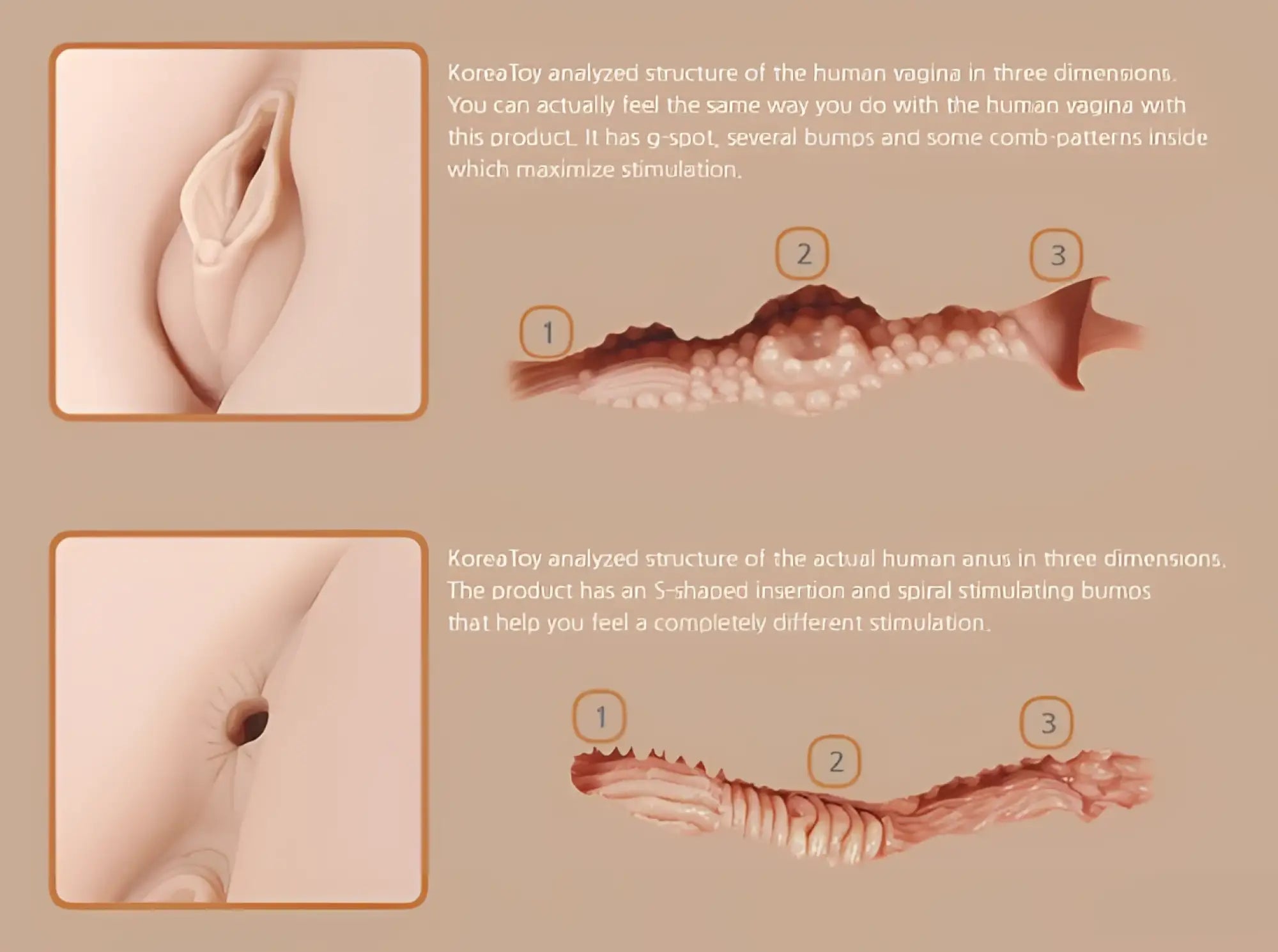 Kokos real hip hera 1:1 flesh-toned adult toy with detailed internal vagina and anus textures for stimulation