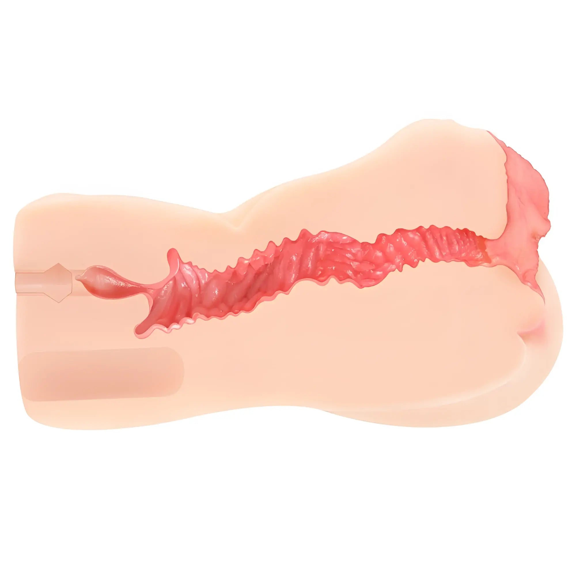 Pink silicone anal plug with textured ridged interior featured in kokos vanilla onahole edn 4 dual layer masturbator