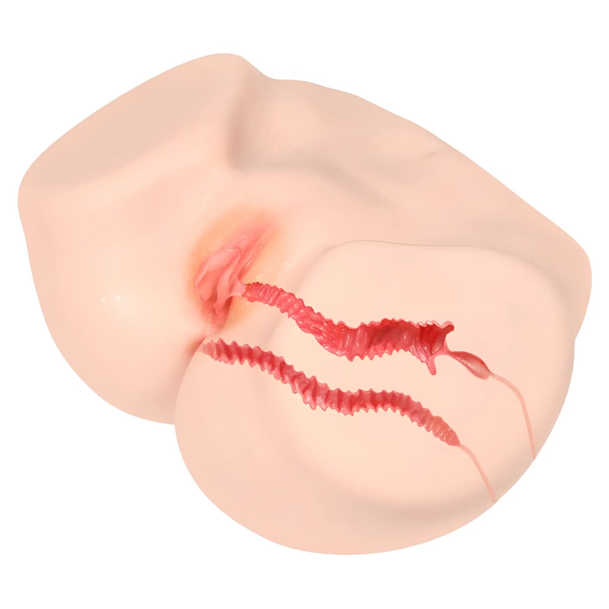 Pink silicone breast form with red textured internal structures in Kokos Vanilla Onahole Edn 4 pussy and ass 1 1 torso