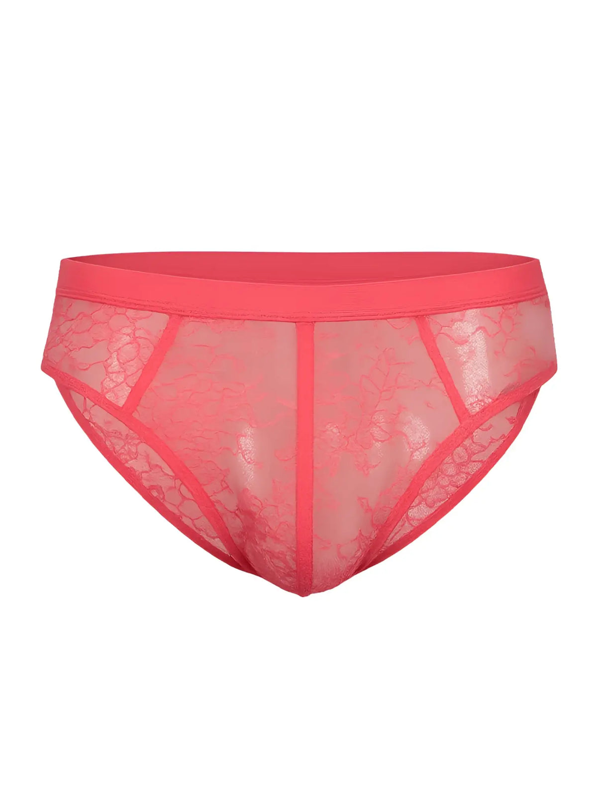 Coral pink luxury lace briefs with solid waistband and sheer patterned lace fabric perfect for elegant lingerie wear