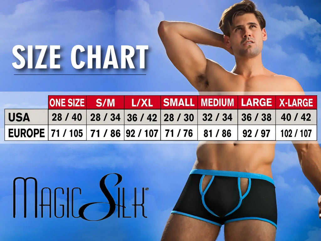 Black and blue magic silk 6606 silk briefs for men with contoured design and smooth luxurious fabric
