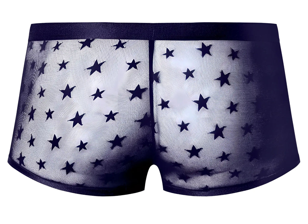 Male power 122-291 love star short purple ring black star-patterned sheer mesh briefs with solid dark waistband front view
