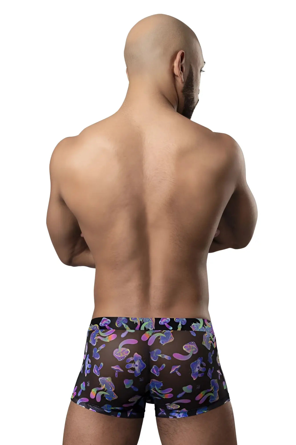 Black sheer boxer briefs with vibrant multicolored purple pink and blue mushroom pattern male power 145-294 haze dayz