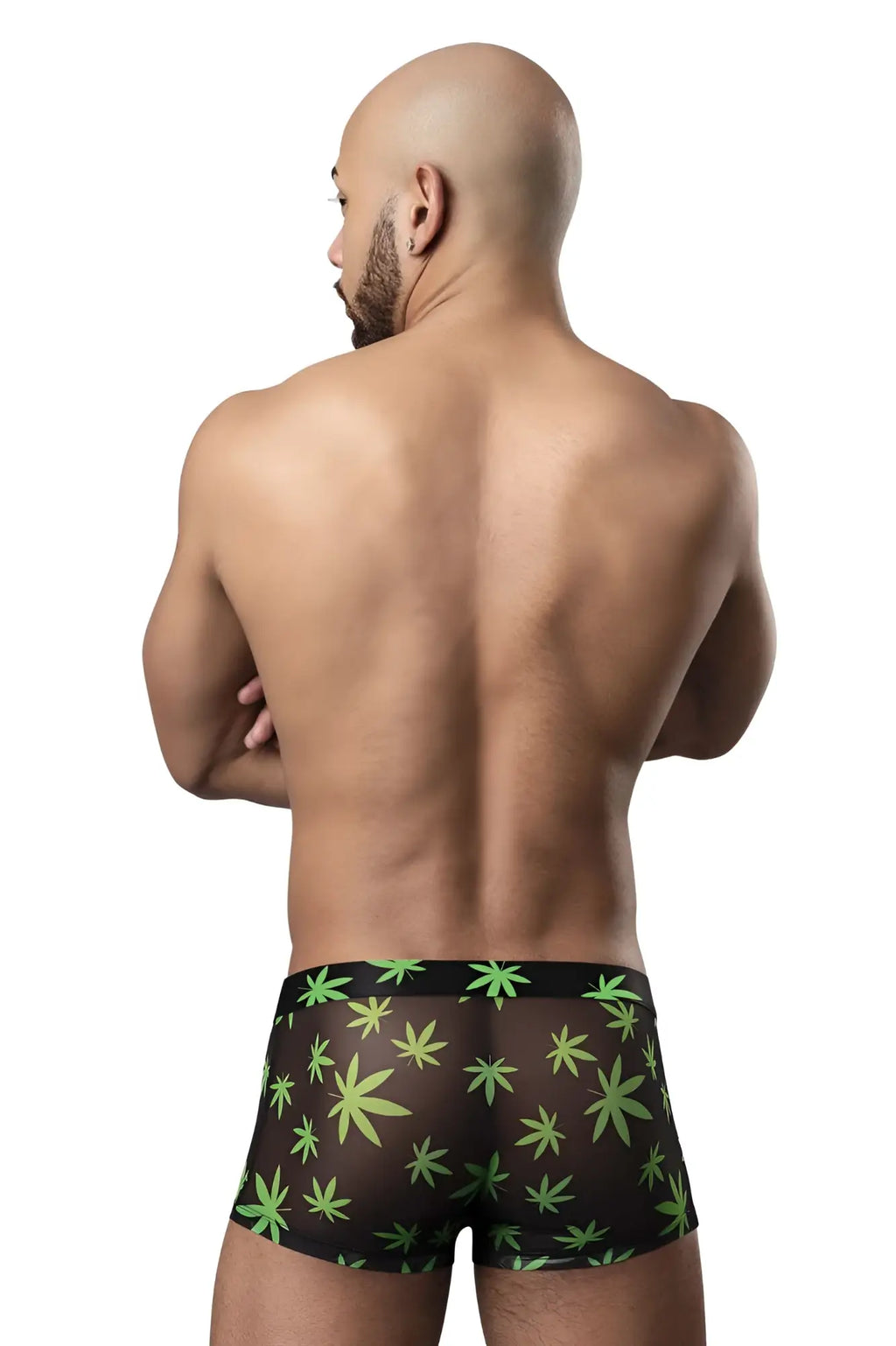Black sheer boxer briefs by male power with vibrant green cannabis leaf pattern pouch short color pot leaf design