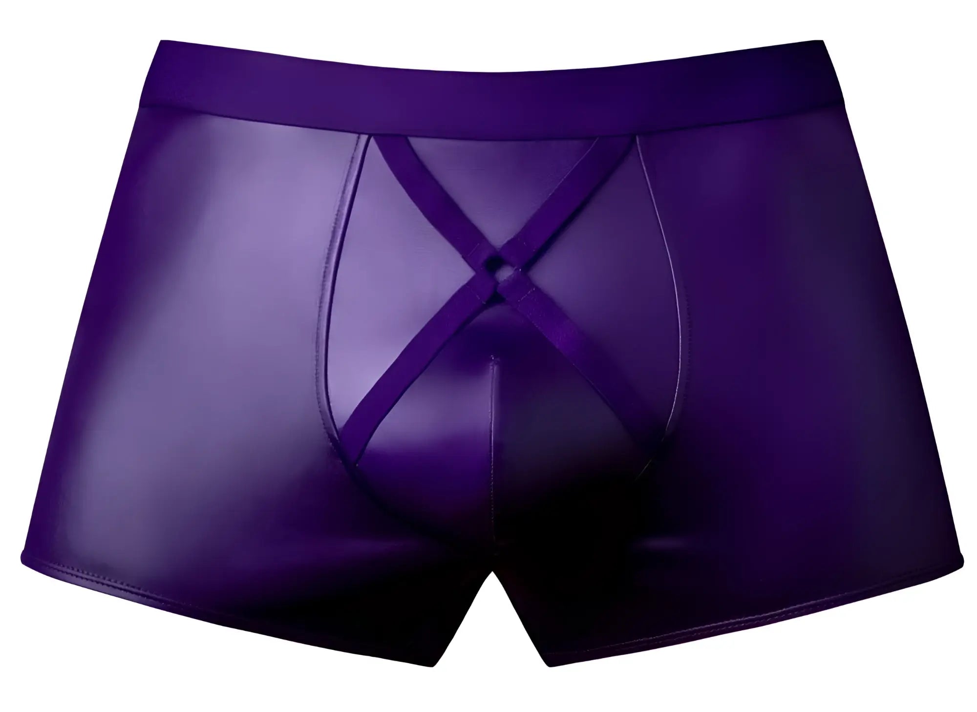 Purple shiny faux leather male power boxer briefs with eggplant color and crisscross front design