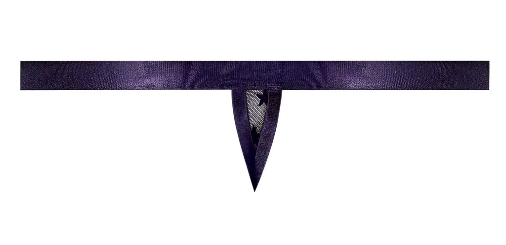 Male power 416-291 love star thong in deep purple satin with delicate lace trim and ring detail at center