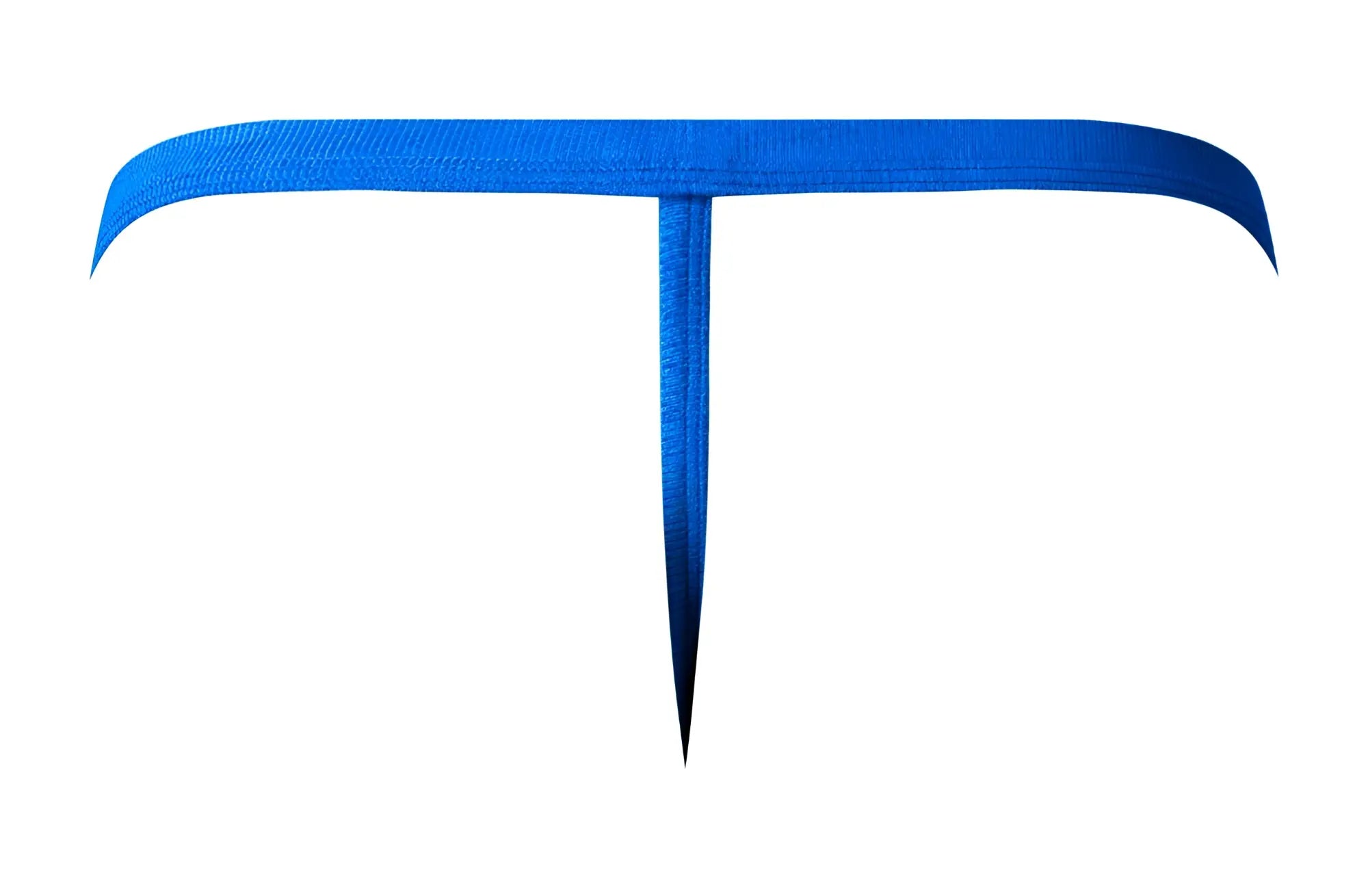 Male power 449-11c fishnet 2 g-string royal blue textured fabric thong with sleek t-shaped design back view