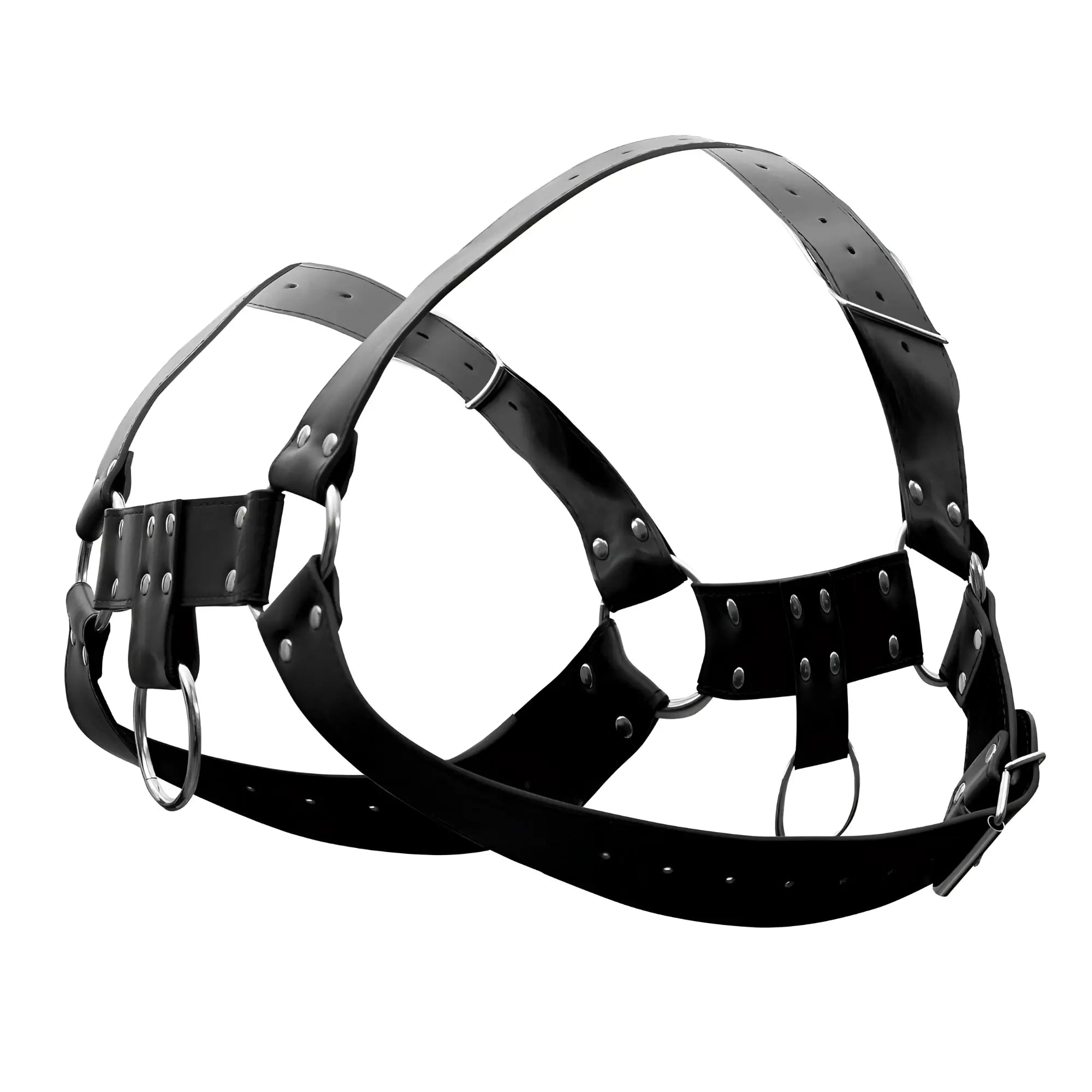 Male power 590-266 leather aries harness in black with silver-toned adjustable metal hardware and straps