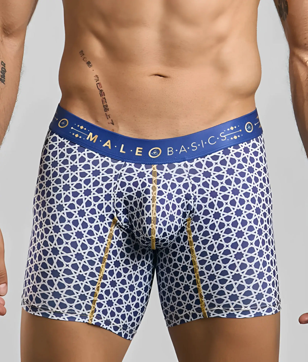Male basics boxer brief hipster in blue and white geometric pattern with gold trim and branded waistband