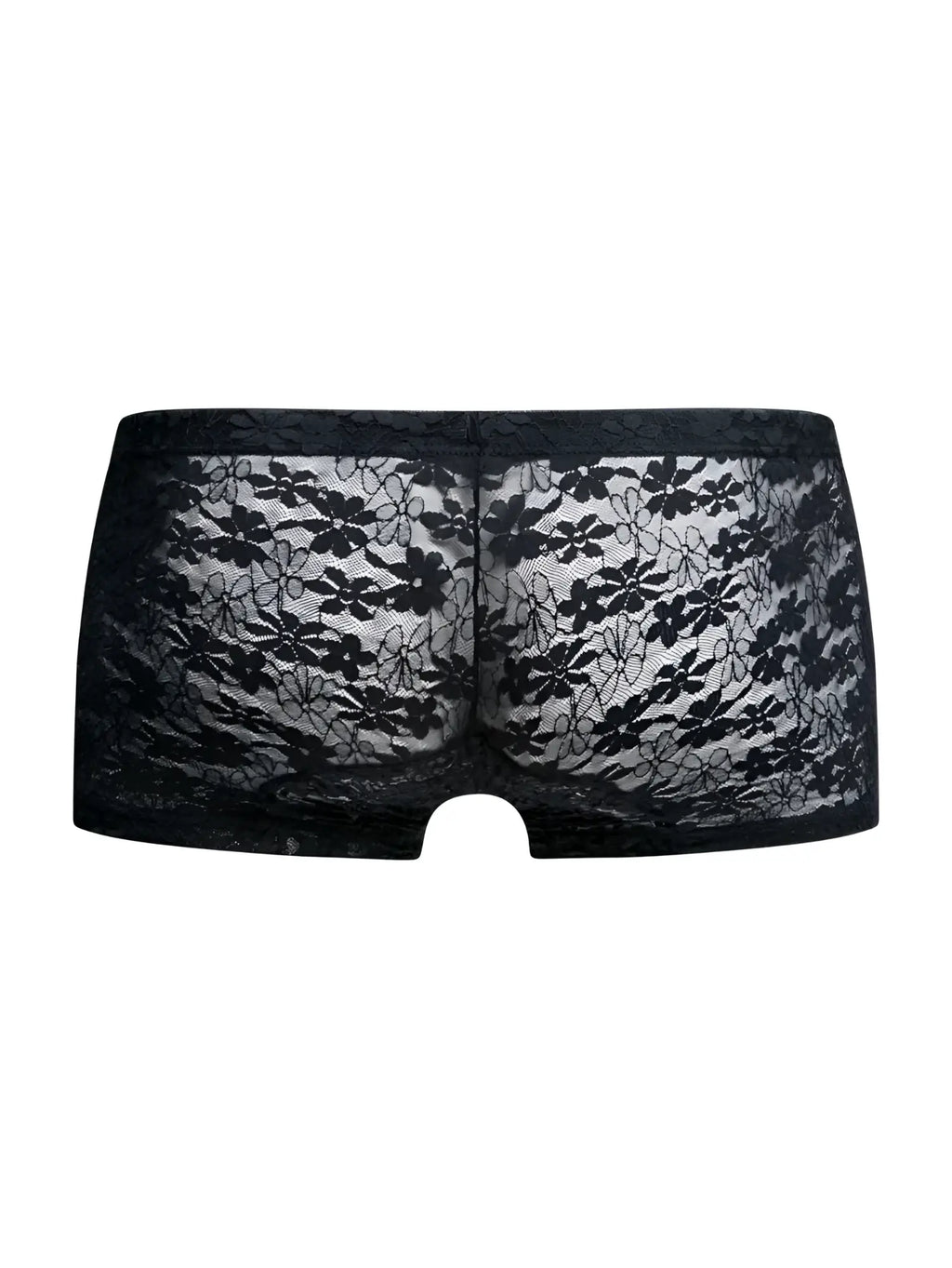 Malebasics mbl78 lace trunks in black lace featuring sheer delicate floral lace design for men
