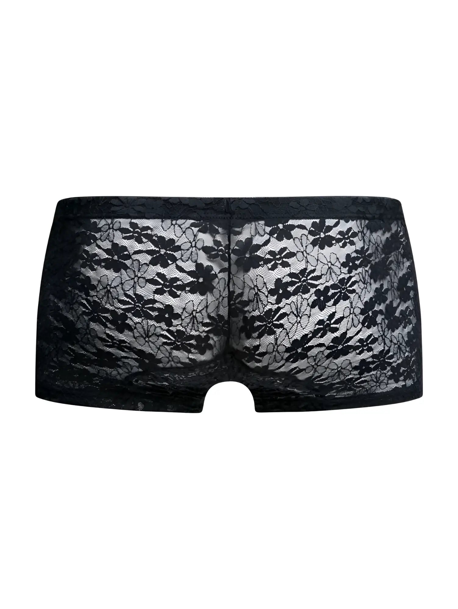 Malebasics mbl78 lace trunks in black lace featuring sheer delicate floral lace design for men