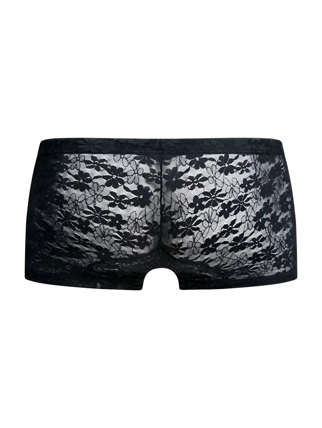 Malebasics mbl78 lace trunks in black lace featuring sheer delicate floral lace design for men