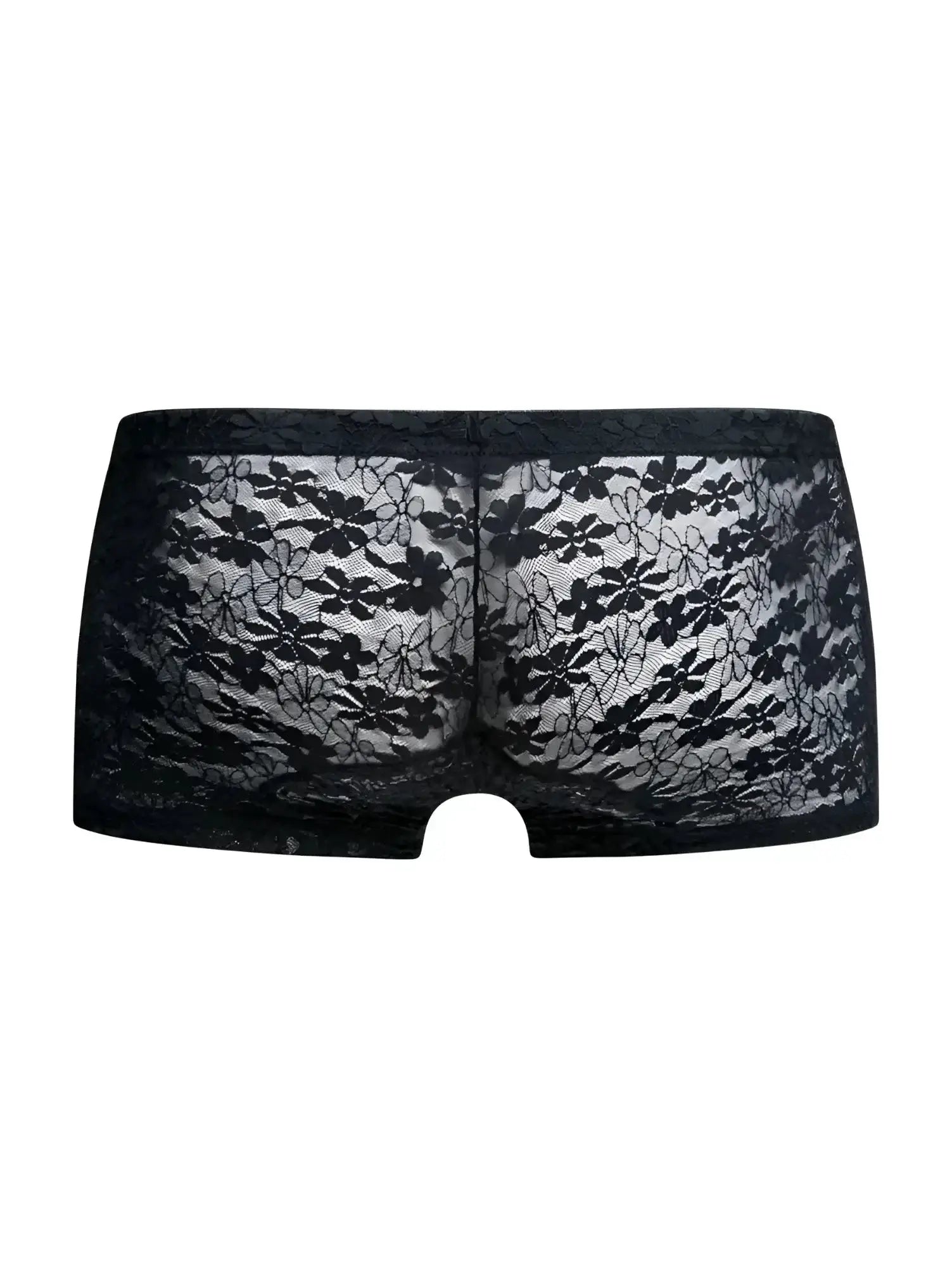 Malebasics mbl78 lace trunks in black lace featuring sheer delicate floral lace design for men