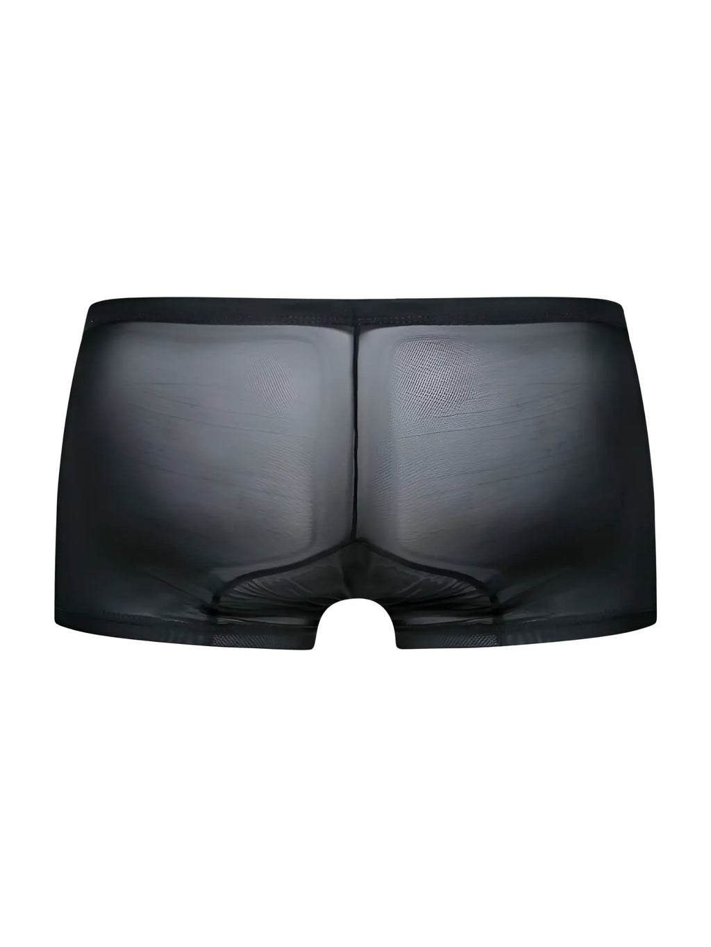 Black sheer mesh briefs malebasics mbl78 lace trunks with smooth form fitting design in black mesh material