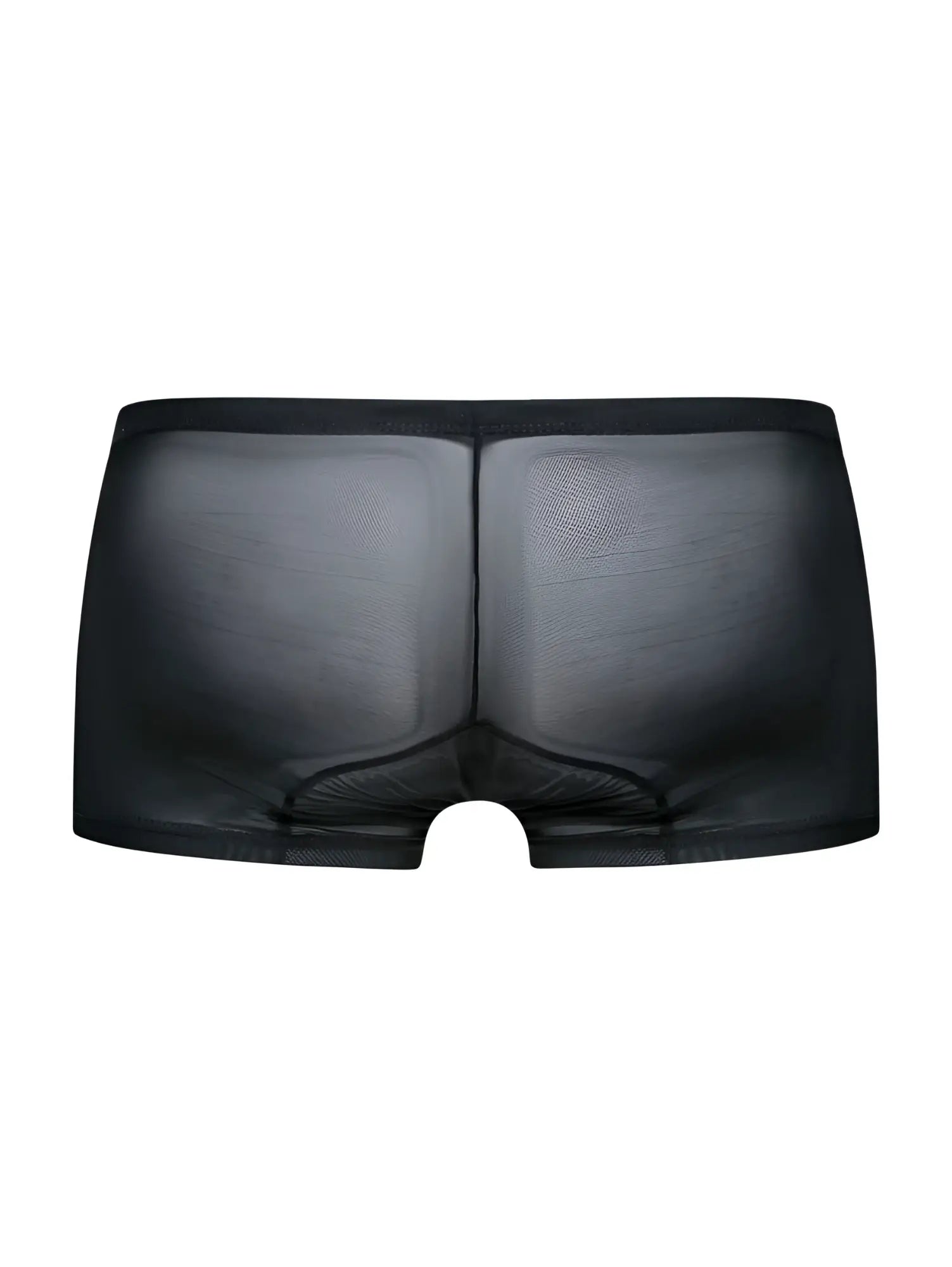 Black sheer mesh briefs malebasics mbl78 lace trunks with smooth form fitting design in black mesh material